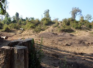 Degraded forest land, Myanmar