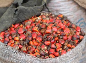 Palm oil nuts