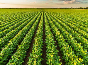 Agriculture.png