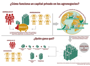Estructura_del_capitalES-05_xlarge.png