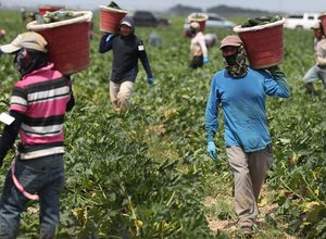 FarmworkersBrief-1024x683.jpg