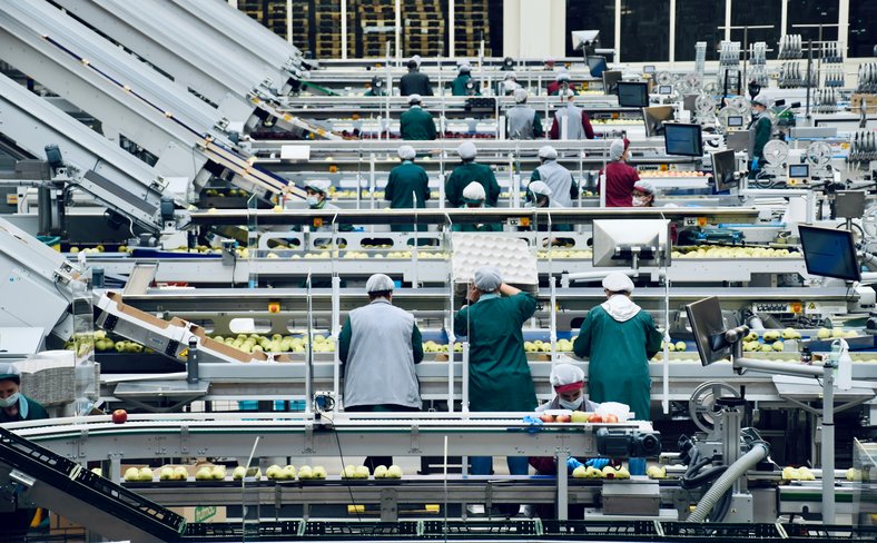 Food production factory